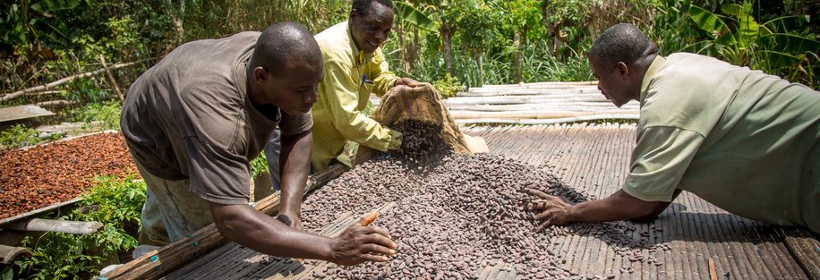 Chocolade Cocoa Horizons